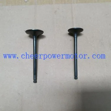 QINGQI QM200GY용 오토바이 부품 엔진 밸브