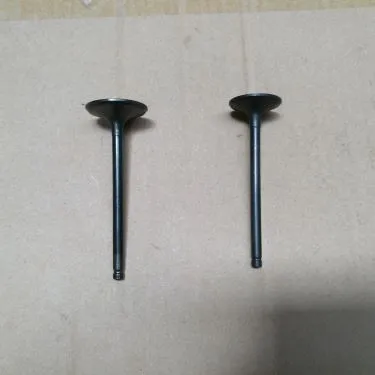 QINGQI QM200GY용 오토바이 부품 엔진 밸브