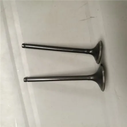 SHINERAY CHIEF XY250-5오토바이용 흡입 엔진 밸브