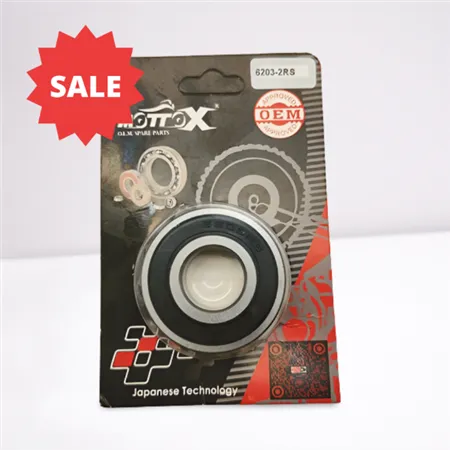 6203RS 오토바이 베어링