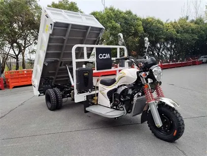 250cc 수냉식 덤퍼 카고 세발자전거